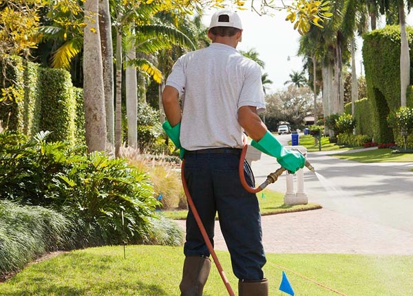 About Posen IL Pest Control